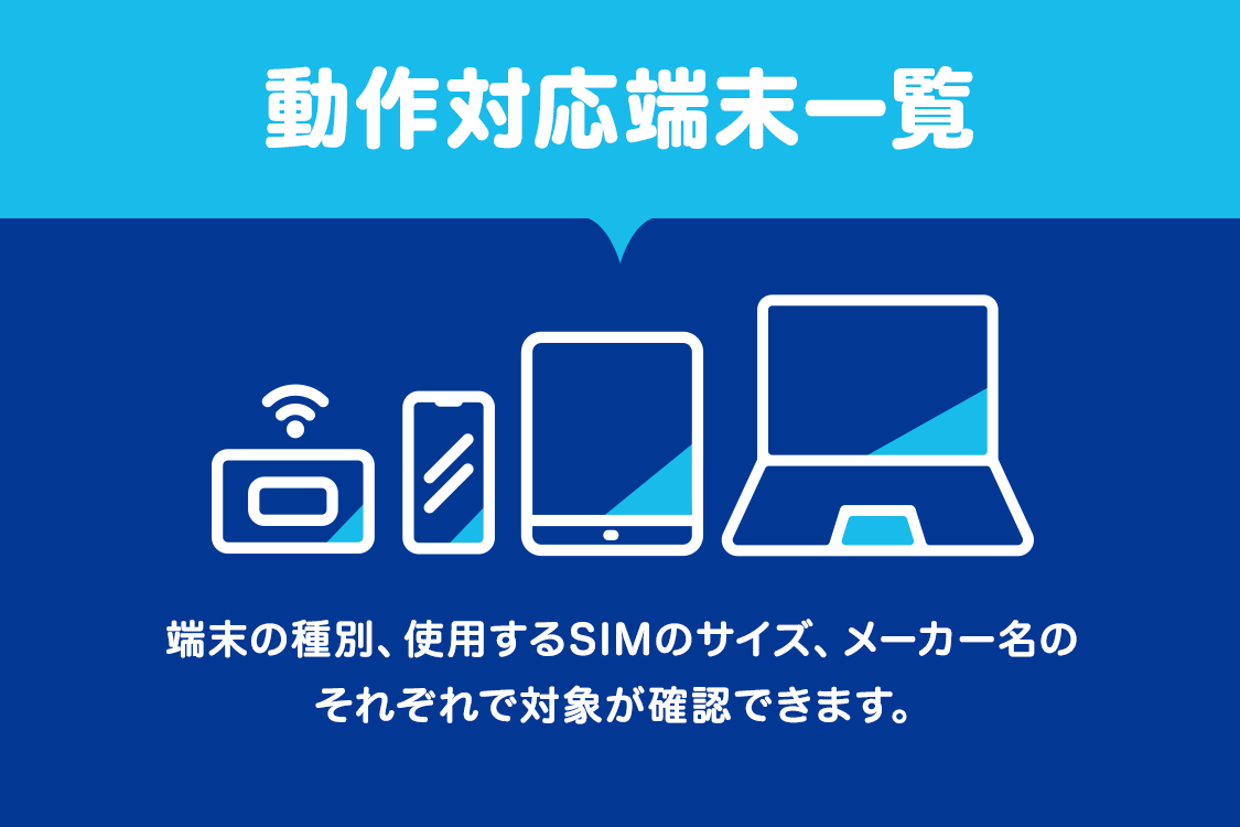 海外輸入】 e-zoaDIS mobile ディーアイエスモバイル SBM 年間パック2年DATA 20GB ZDMS-PKG D20G2Y  2439369
